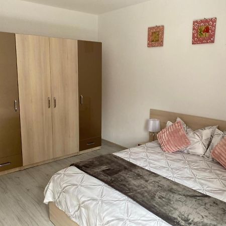 Rebeca Apartament Lugoj Ngoại thất bức ảnh
