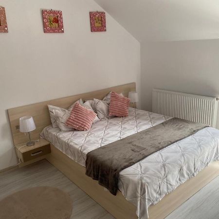 Rebeca Apartament Lugoj Ngoại thất bức ảnh