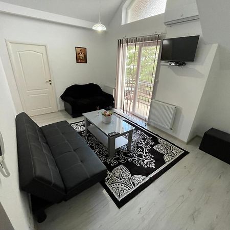 Rebeca Apartament Lugoj Ngoại thất bức ảnh