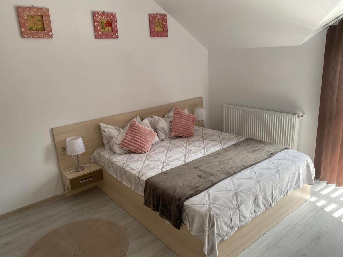 Rebeca Apartament Lugoj Ngoại thất bức ảnh